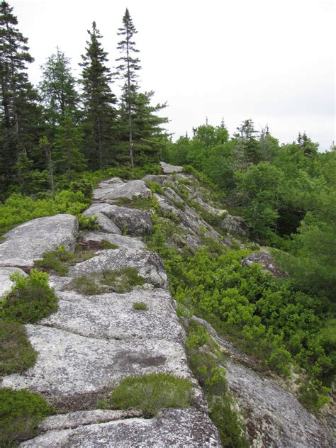 Trails of Halifax Regional Municipality: The Bluff Trail: Superb Wilderness Hiking