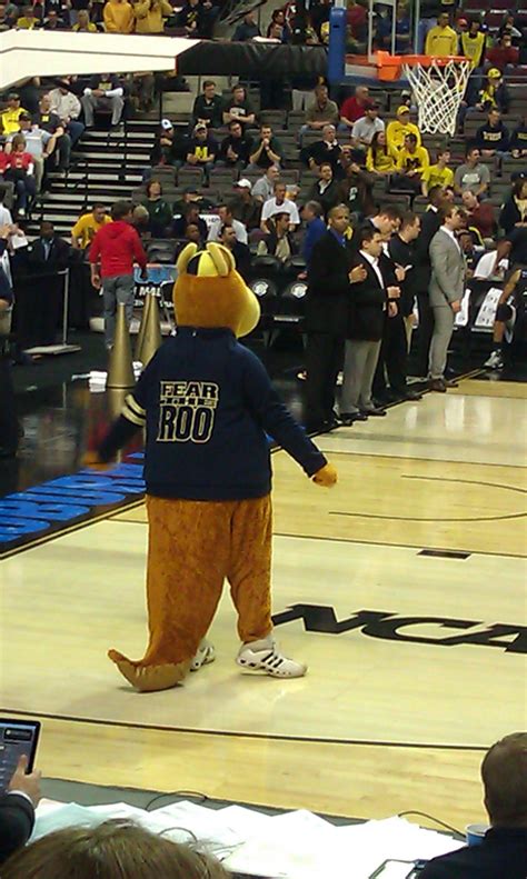 Akron Zips - Zippy at NCAA tourney. University Of Akron, Akron Zips ...