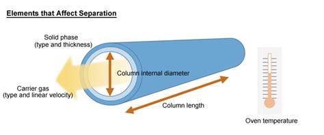 Column Gas Chromatography