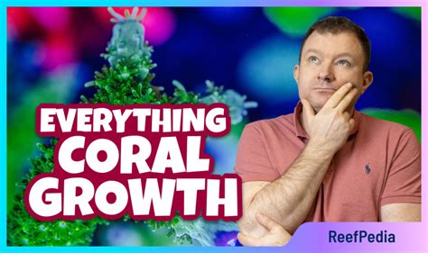 Coral Growth - All You Need to Know - Reef Pedia