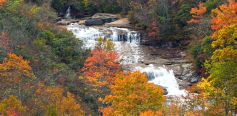 The 15 Best Pisgah National Forest Waterfalls to Explore