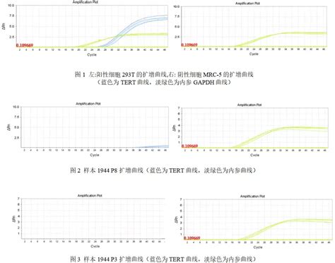 细胞端粒酶活性检测 - 知乎