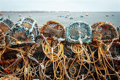 Crab Pots At the Maherees Photograph by Mark Callanan - Fine Art America