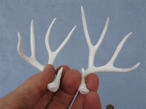 Antlers mule deer miniature trophy dollhouse accent decor