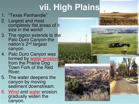 PPT - Texas Ecoregions PowerPoint Presentation, free download - ID:741654