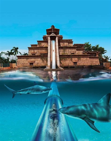 Aquaventure - Dubai | Tourist places, Atlantis bahamas, Places to travel