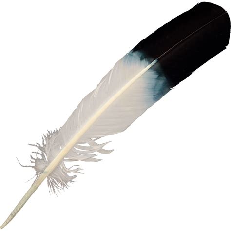 Eagle Feather Imitation (Each): Kheops International