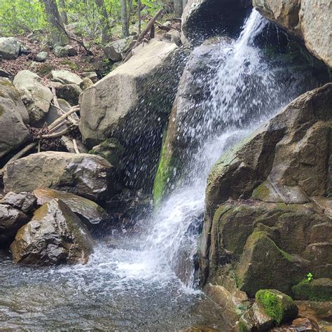 Hiking in Chattanooga, Tennessee: 3 Amazing Hiking Trails - Jessa Frances