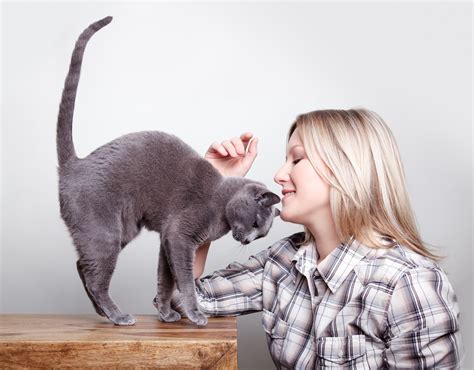 7 Reasons Why Humans & Cats Are A Match Made In Heaven