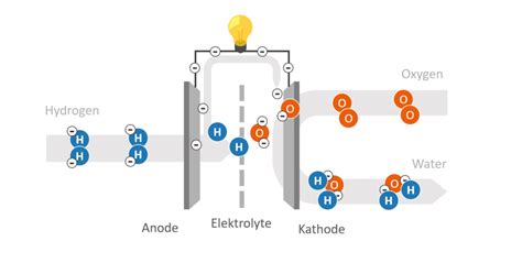 Diagram Of Fuel Cell