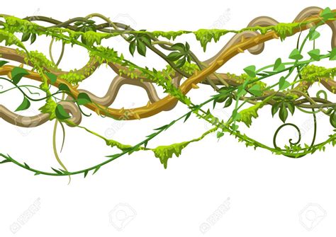 clipart jungle vines 20 free Cliparts | Download images on Clipground 2024