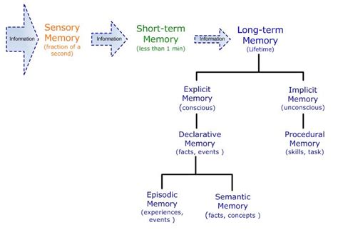Types of Memory