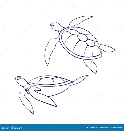 Turtle Outline Cartoon : Named after italian renaissance artists, they were trained by their ...