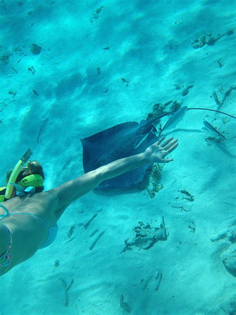 a woman is swimming in the ocean with her hand out to touch something ...