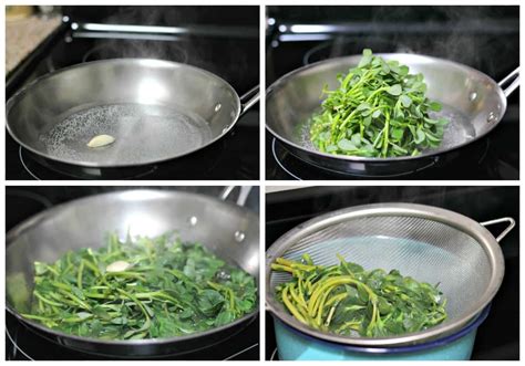 Steamed Purslane Recipe | Easy, quick and beneficial for you!