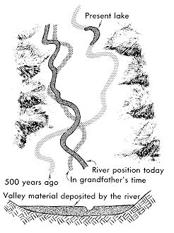 Castle Rock Rainforest - The Meandering River