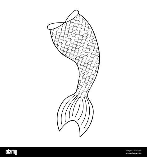 Outline mermaid tail isolated on white background. Coloring book line ...