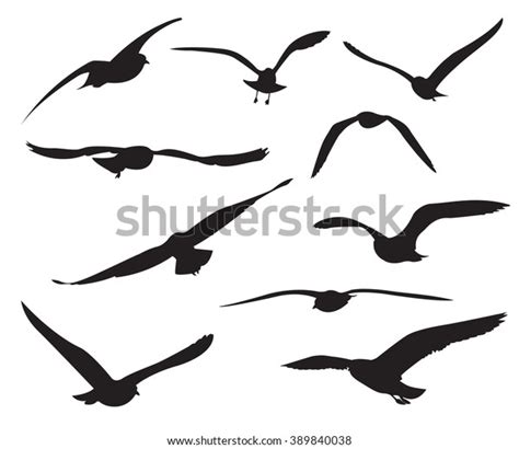 56,058 Seagull Silhouette Images, Stock Photos & Vectors | Shutterstock