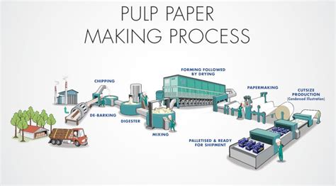 صناعة الورق Paper Manufacturing | مصادر الكيمياء