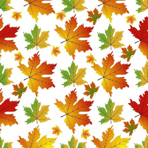 Autumn Set of Orange Maple Leaves vector. 3462719 Vector Art at Vecteezy