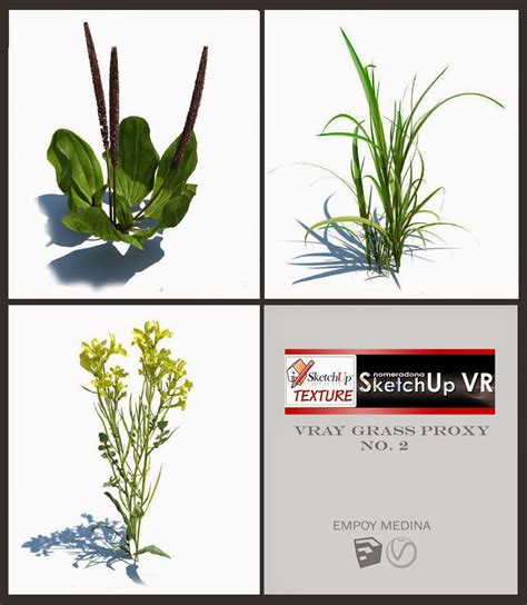 SKETCHUP TEXTURE: Search results for grass
