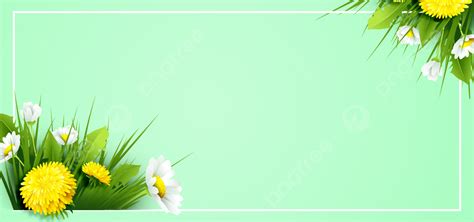Spring Plant Floral Border Green Background, Pc Wallpaper, Spring, Plant Background Image And ...