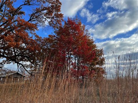 Rondeau Provincial Park: Nature's Symphony Awaits - Indie88