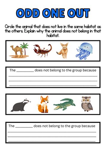 Odd One Out: Animals | Teaching Resources