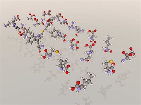 Collection of 21 alpha amino acids L- stereoisomers 3D model | CGTrader