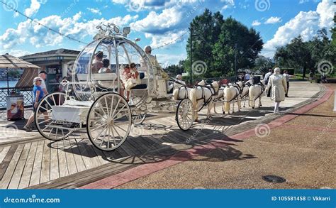 Cinderella wedding coach editorial stock photo. Image of bride - 105581458