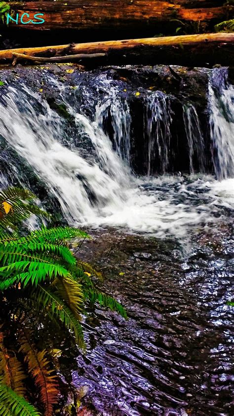 NC Photography Bonney Lake, WA | Natural landmarks, Bonney lake, Waterfall