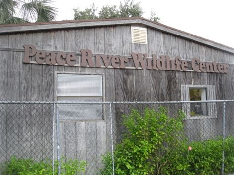 Peace River Wildlife Center – Lettuce Lake RV Park