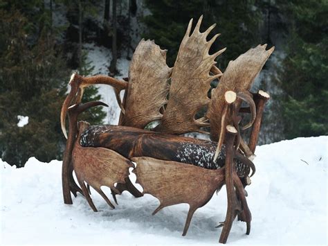 Moose Antler Light Fixtures | Light Fixtures Design Ideas | Antler ...