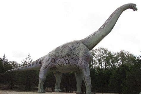 Dinosaur Park is one of the very best things to do in Austin