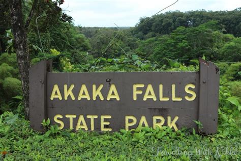 How to Visit Akaka Falls State Park in Hawaii | Travelling With Nikki