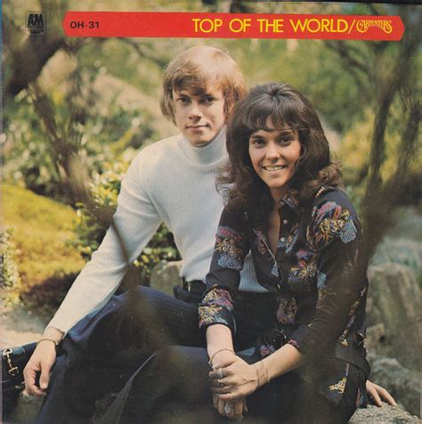 Carpenters - Top Of The World (1973, Vinyl) | Discogs