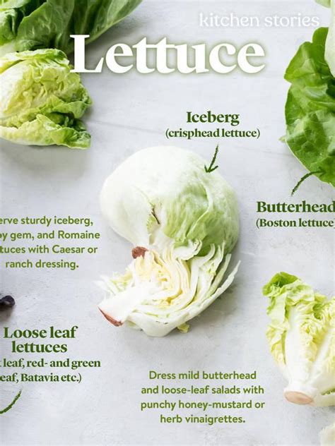 The Ultimate Guide to Using Salad Leaves | Stories | Kitchen Stories