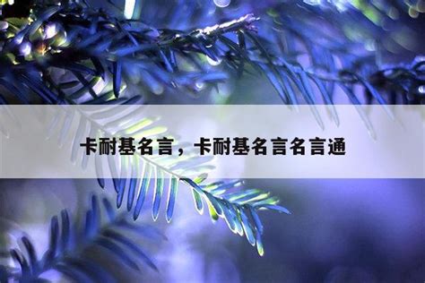 卡耐基名言，卡耐基名言名言通-佳句-品与读