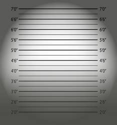 Height Chart in Jail Vector Images (over 140)