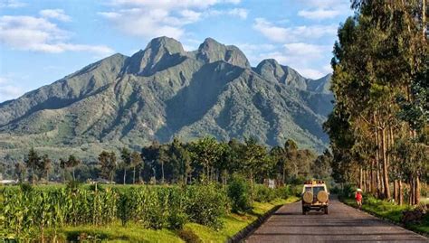 Best time to visit Rwanda - visit Rwanda , rwanda safaris , rwanda gorillas