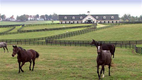 Why Do Horse Farms Have Double Fences at Michael Sipp blog