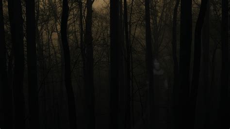 🔥 [50+] Scary Forest Wallpapers | WallpaperSafari