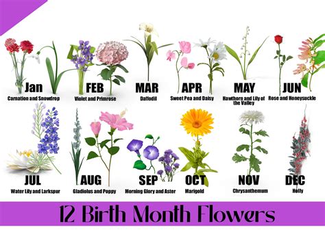 May Birth Flower Png - Image to u