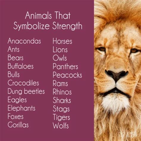 Animals That Symbolize Strength