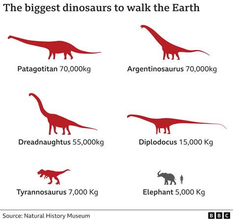 Argentinosaurus Scale