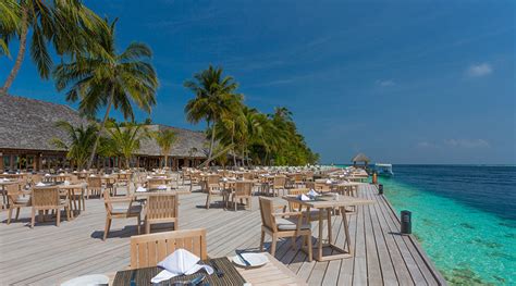 Vilamendhoo Island Resort and Spa | Maldives Resort | Scuba Travel