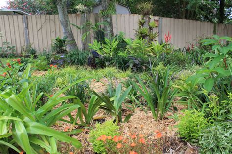 The Rainforest Garden: 7 Ways to Fix an Ugly Garden with Plants