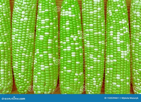 Green Corn with GMO. Green Color Maize Concept Background Stock Image ...