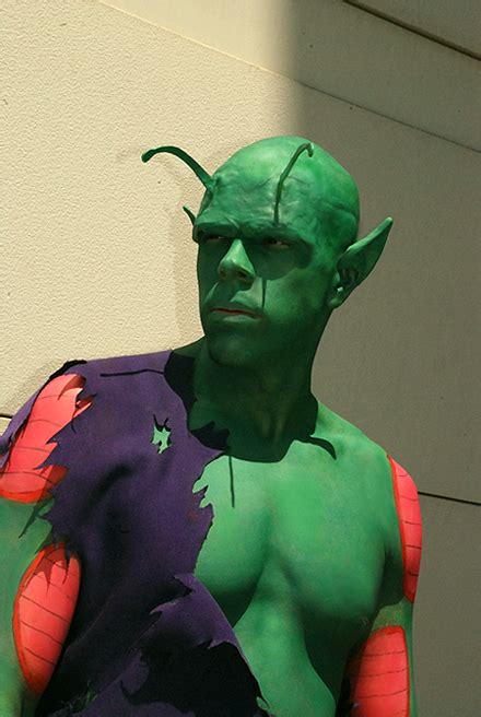 DBZ Cosplay - Piccolo 1 by TechnoRanma on DeviantArt