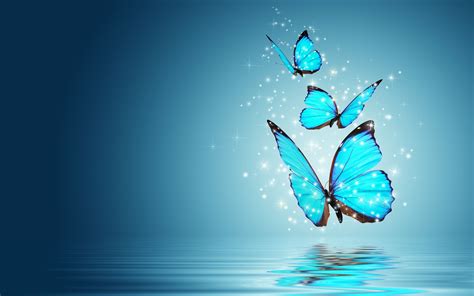 Butterfly Wallpaper Desktop